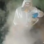traitement vapeur sèche contre les punaises de lits